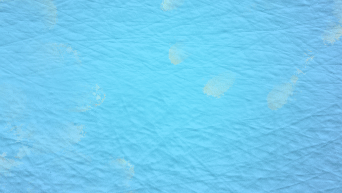 Abklatschtest mit LAMILUX Antibac Abklatschtest mit LAMILUX Antibac